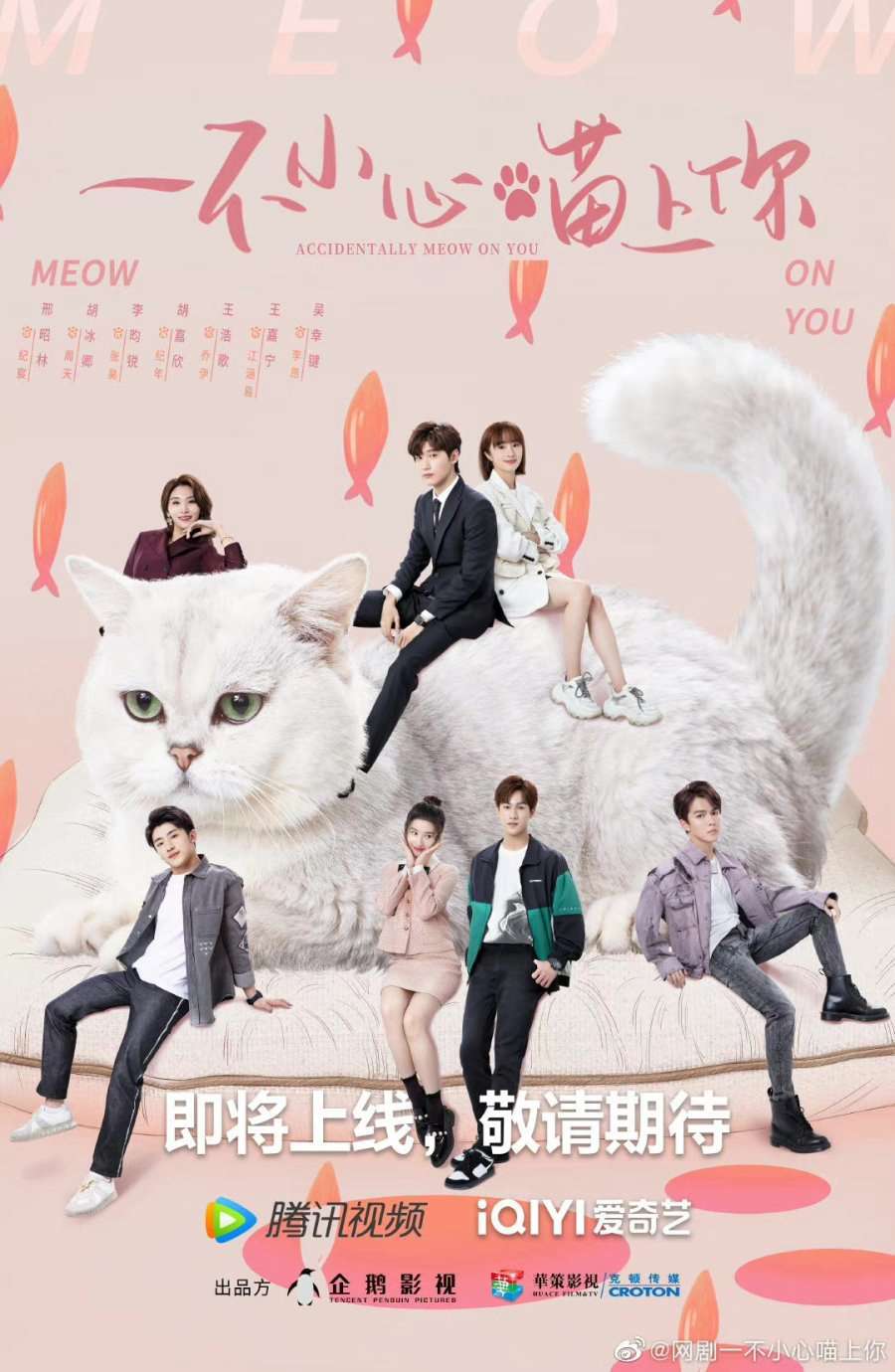 Thumber Bất Cẩn Meow Phải Anh